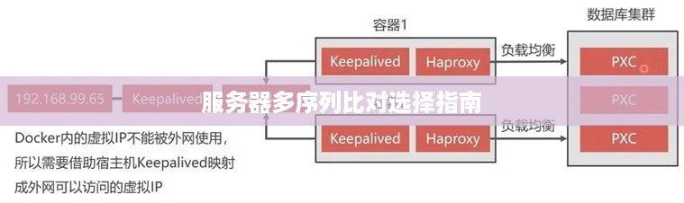 服务器多序列比对选择指南