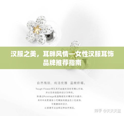 汉服之美，耳畔风情—女性汉服耳饰品牌推荐指南