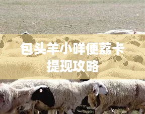 包头羊小咩便荔卡提现攻略