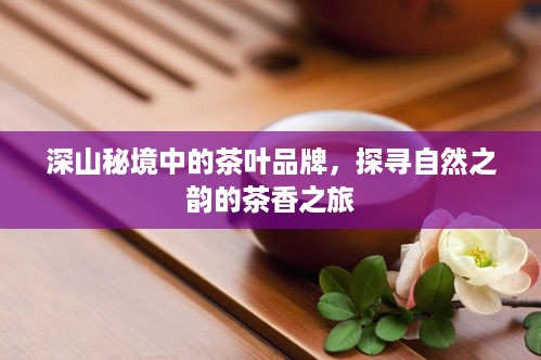 深山秘境中的茶叶品牌，探寻自然之韵的茶香之旅