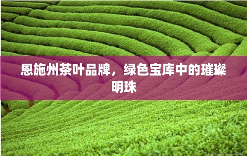 恩施州茶叶品牌，绿色宝库中的璀璨明珠