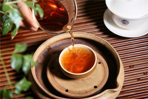 福建茶叶品牌大全，品味福建，尽享茶香四溢