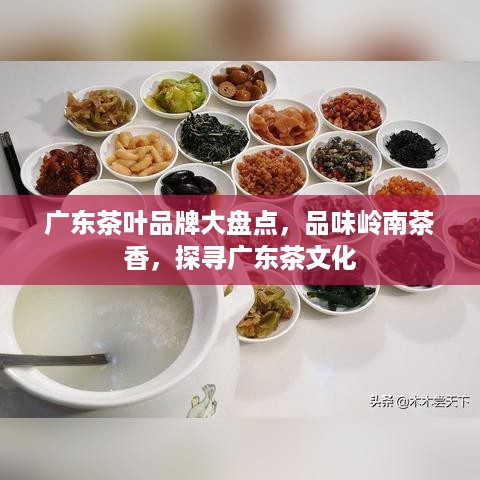 广东茶叶品牌大盘点，品味岭南茶香，探寻广东茶文化
