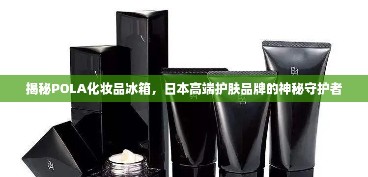 揭秘POLA化妆品冰箱，日本高端护肤品牌的神秘守护者