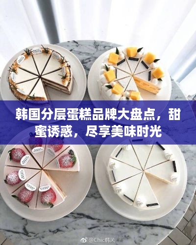 韩国分层蛋糕品牌大盘点，甜蜜诱惑，尽享美味时光