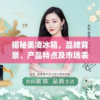 揭秘美凌冰箱，品牌背景、产品特点及市场表现