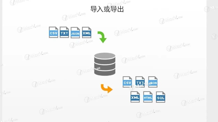 网易租赁服务器导入地图，简化数据管理流程