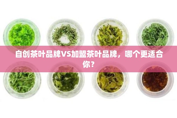 自创茶叶品牌VS加盟茶叶品牌，哪个更适合你？