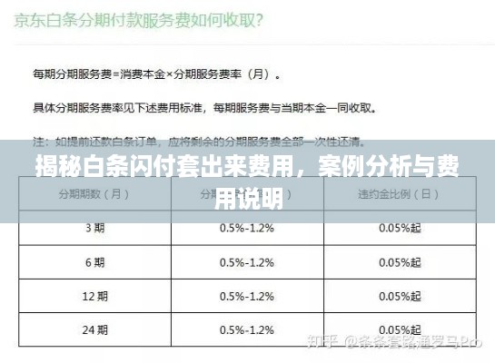 揭秘白条闪付套出来费用，案例分析与费用说明