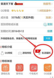 京东白条充值提现指南