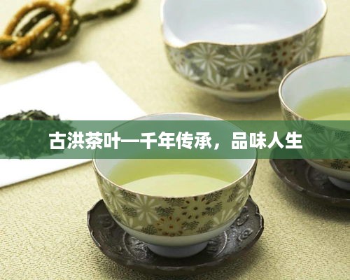 古洪茶叶—千年传承，品味人生
