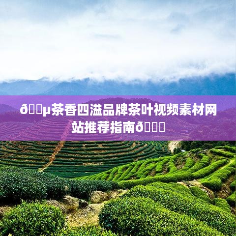 🍵茶香四溢品牌茶叶视频素材网站推荐指南🌟