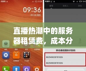 直播热潮中的服务器租赁费，成本分析与案例解读