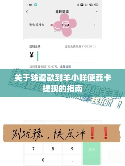 关于钱退款到羊小咩便荔卡提现的指南
