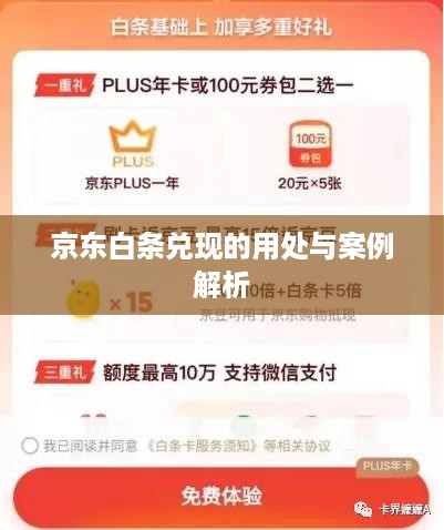 京东白条兑现的用处与案例解析
