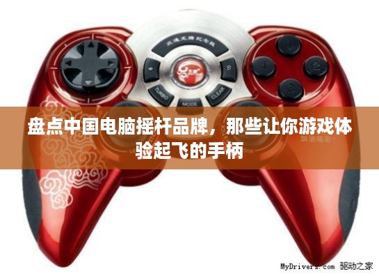 盘点中国电脑摇杆品牌，那些让你游戏体验起飞的手柄