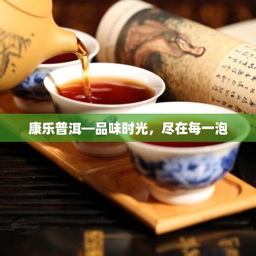 康乐普洱—品味时光，尽在每一泡