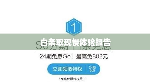 白条取现慢体验报告