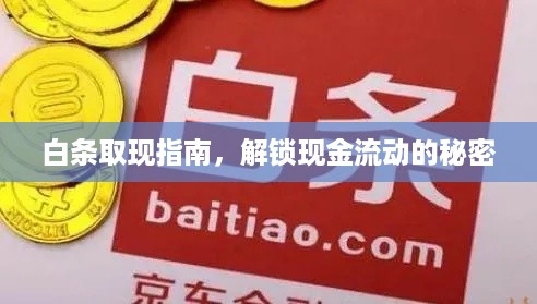 白条取现指南，解锁现金流动的秘密