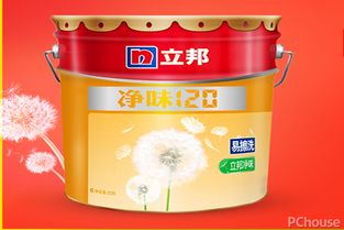 揭秘市面上最好的油漆粉品牌，选购指南大公开！