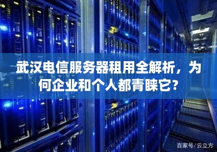 武汉电信服务器租用全解析，为何企业和个人都青睐它？