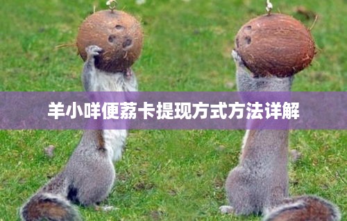 羊小咩便荔卡提现方式方法详解