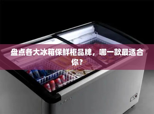 盘点各大冰箱保鲜柜品牌，哪一款最适合你？