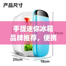 手提迷你冰箱品牌推荐，便携生活，清凉随行！
