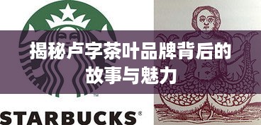揭秘卢字茶叶品牌背后的故事与魅力