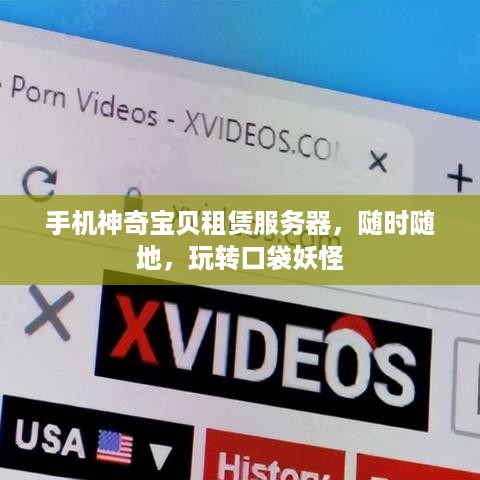 手机神奇宝贝租赁服务器，随时随地，玩转口袋妖怪