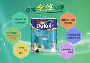 揭秘醇油漆品牌，带你走进高品质衣物护理的世界！