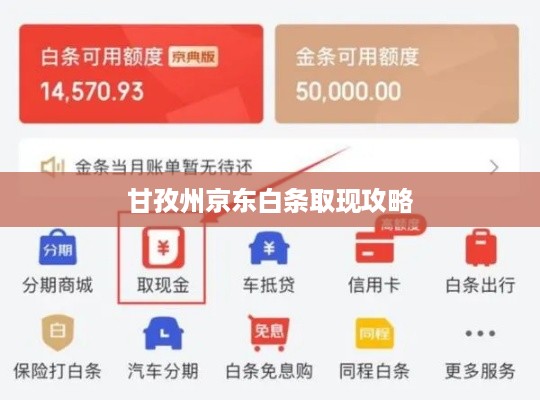 甘孜州京东白条取现攻略