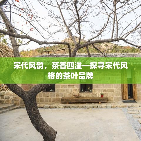 宋代风韵，茶香四溢—探寻宋代风格的茶叶品牌