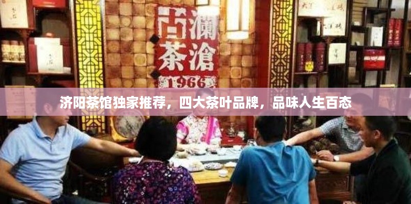 济阳茶馆独家推荐，四大茶叶品牌，品味人生百态