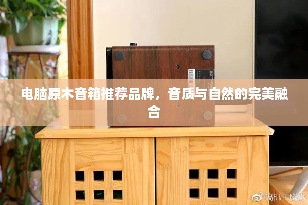 电脑原木音箱推荐品牌，音质与自然的完美融合