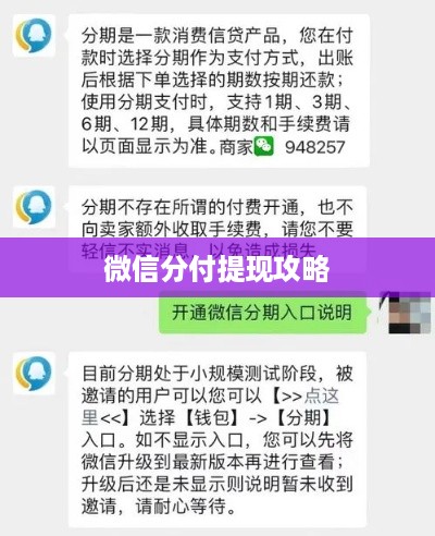 微信分付提现攻略