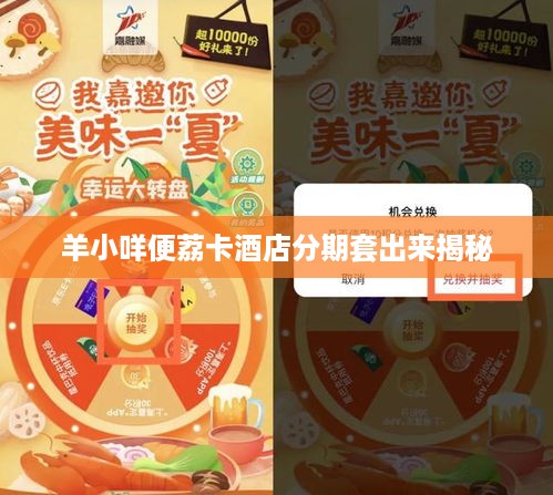 羊小咩便荔卡酒店分期套出来揭秘