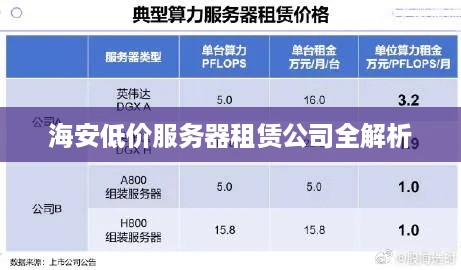 海安低价服务器租赁公司全解析