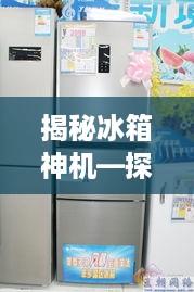 揭秘冰箱神机—探寻哪款品牌冰箱备受消费者青睐