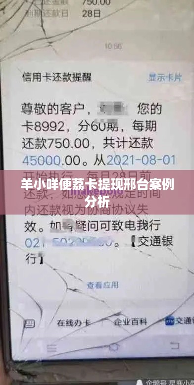 羊小咩便荔卡提现邢台案例分析