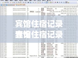 宾馆住宿记录查询
宾馆住宿记录查询