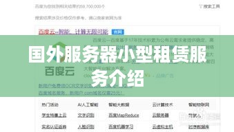 国外服务器小型租赁服务介绍