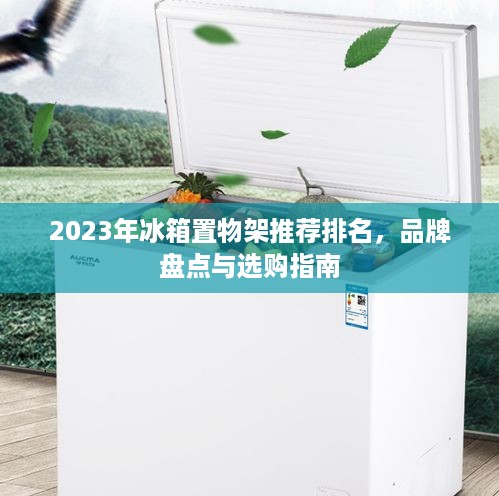 2023年冰箱置物架推荐排名，品牌盘点与选购指南