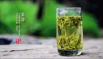茶香四溢，千年传承—探寻碧螺春的品牌文化故事