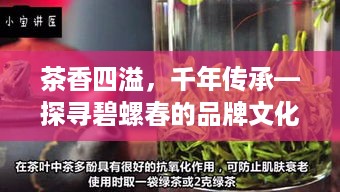 茶香四溢，千年传承—探寻碧螺春的品牌文化故事