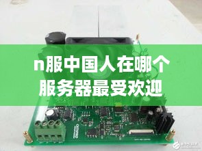 n服中国人在哪个服务器最受欢迎