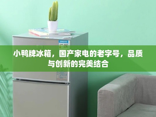 小鸭牌冰箱，国产家电的老字号，品质与创新的完美结合