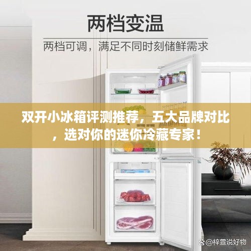双开小冰箱评测推荐，五大品牌对比，选对你的迷你冷藏专家！