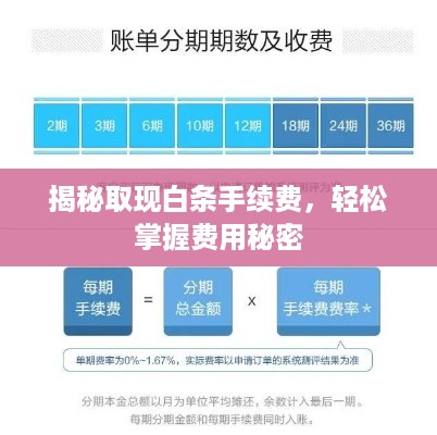 揭秘取现白条手续费，轻松掌握费用秘密