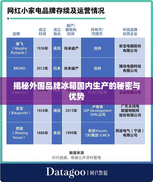 揭秘外国品牌冰箱国内生产的秘密与优势